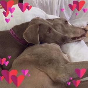 Meet your Posher, Caitlin